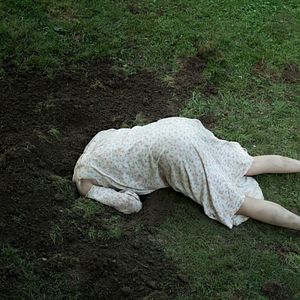 Foto El bosque maldito