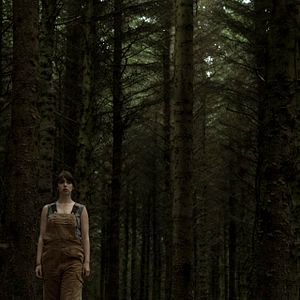 Foto El bosque maldito