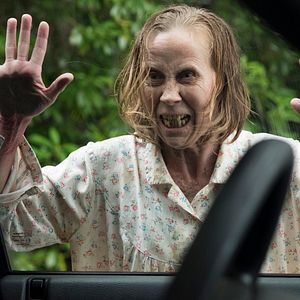 Foto El bosque maldito