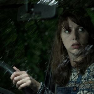 Foto El bosque maldito