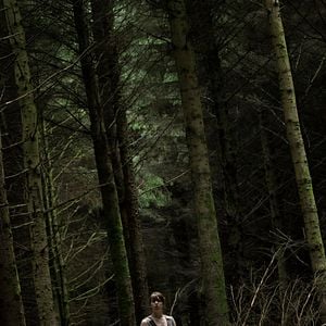 Foto El bosque maldito