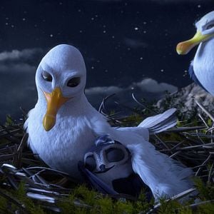 Foto Pajaritos a volar