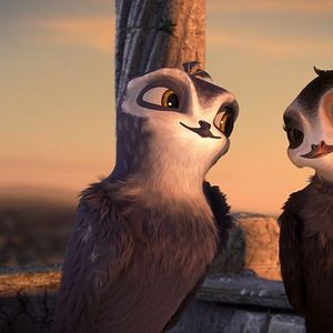 Foto Pajaritos a volar