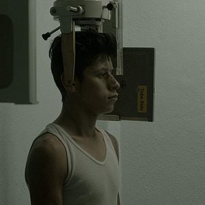 Foto Príncipe de paz