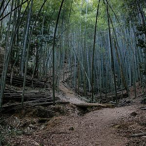 Foto El lugar de las tres cascadas: Pequeñas historias de Hiroshima
