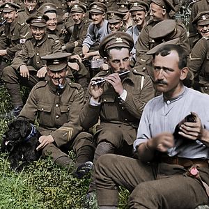 Foto Jamás llegarán a viejos