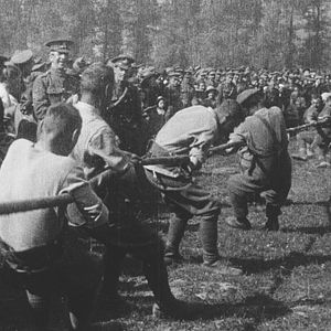 Foto Jamás llegarán a viejos