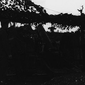 Foto Jamás llegarán a viejos