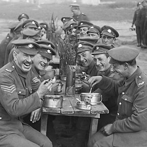 Foto Jamás llegarán a viejos