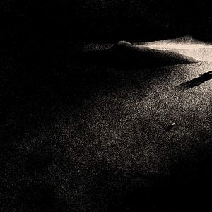 Foto Carlotta's Face