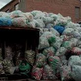 Foto El Cuarto Reino