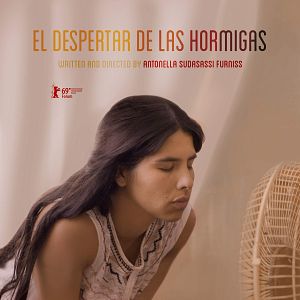 Foto El despertar de las hormigas