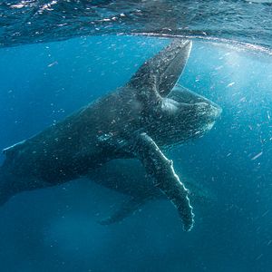 Foto Nuestro Planeta