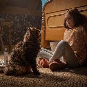 Foto Cementerio maldito