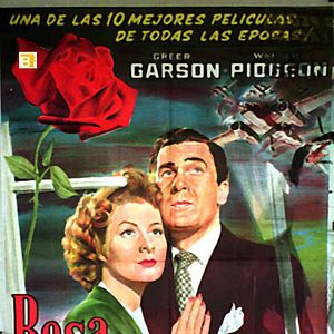 Foto Rosa de abolengo