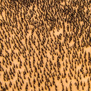 Foto Nuestro Planeta