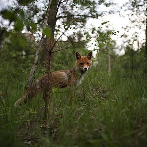 Foto Nuestro Planeta