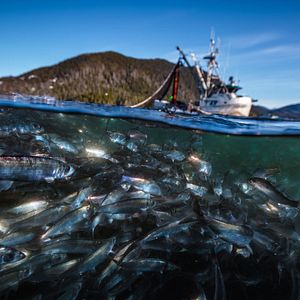 Foto Nuestro Planeta