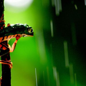 Foto Nuestro Planeta