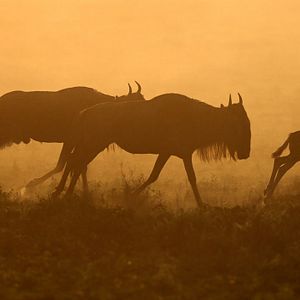 Foto Nuestro Planeta