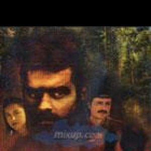 Foto El gavilán de la sierra