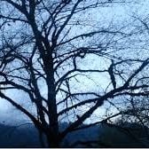 Foto El Caído Del Cielo