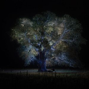 Foto Jessica Forever