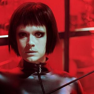 Foto Dogs Don’t Wear Pants