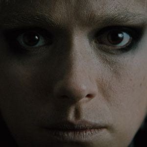 Foto Dogs Don’t Wear Pants