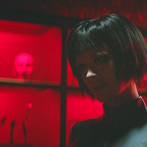 Foto Dogs Don’t Wear Pants