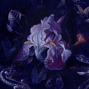 Foto O Beautiful Night