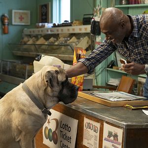 Foto La razón de estar contigo: Un nuevo viaje