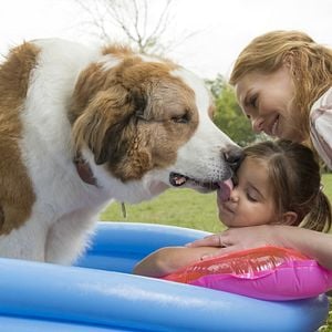 Foto La razón de estar contigo: Un nuevo viaje