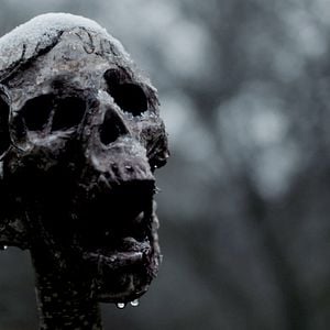 Foto Cazador de monstruos