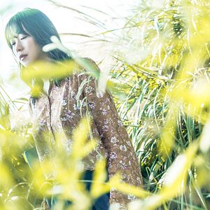 Foto Summer of Changsha