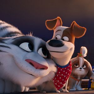 Foto La vida secreta de tus mascotas 2