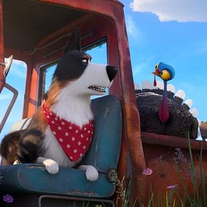 Foto La vida secreta de tus mascotas 2