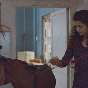 Foto Trabajo en equipo