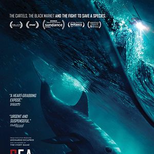 Foto SOS: Mar de Sombras