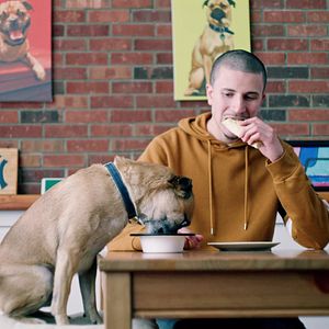 Foto Los paseos de Bruno