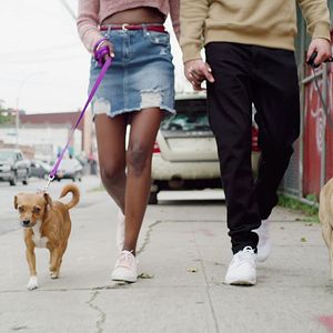 Foto Los paseos de Bruno