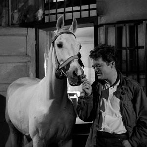 Foto Cenizas y diamantes