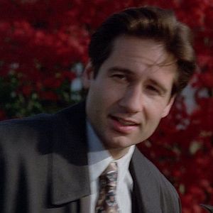 Foto Los expedientes secretos X