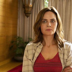 Foto Instinto Animal