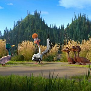 Foto ¿Quién perdió un panda?