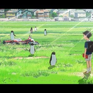 Foto Autopista Pingüino