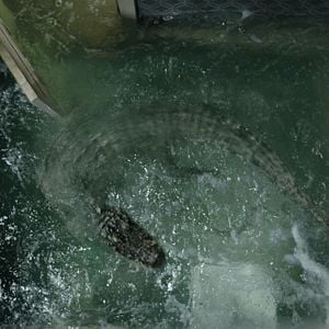 Foto Infierno en la tormenta