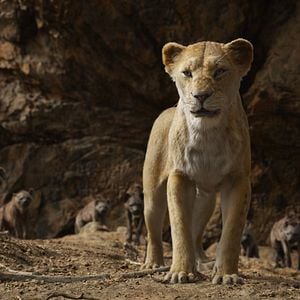 Foto El rey león