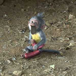 Foto Dora y la ciudad perdida