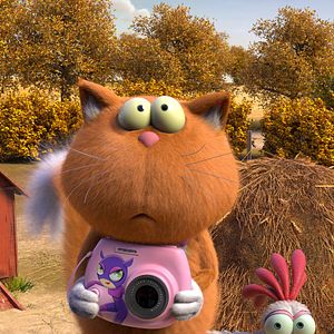 Foto Agente 00 - gato